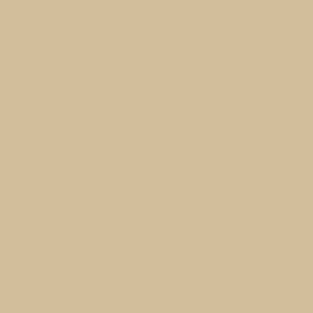 Infinite Hue: "Beige" color available in many different patterns. A solid image showing the color.