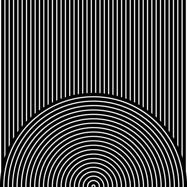 Infinite Hue: "Rising Sun" pattern available in hundreds of different colors. The Black & White image of the design.