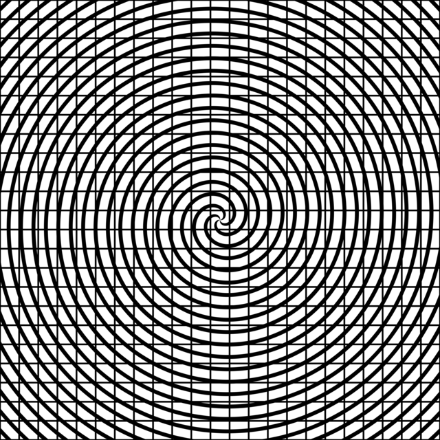 Infinite Hue: "Sonar" pattern available in hundreds of different colors. The Black & White image of the design.