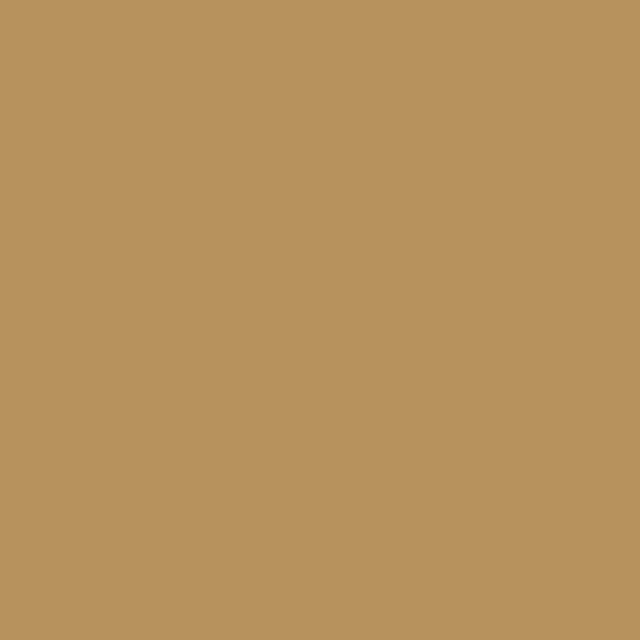 Infinite Hue: "Tan" color available in many different patterns. A solid image showing the color.