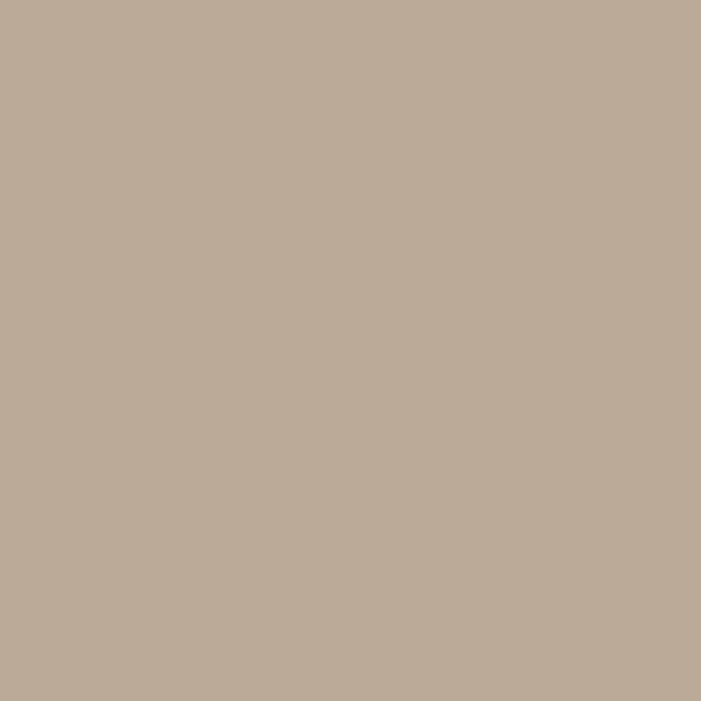 Infinite Hue: "Taupe" color available in many different patterns. A solid image showing the color.